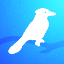 Passerines Network Minecraft Server Icon