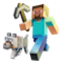 Pick Minecraft Minecraft Server Icon