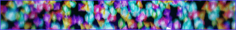Pixelmon Stadium Minecraft Server banner