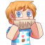 PlayBlocks Minecraft Server Icon