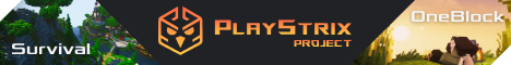 PlayStrix OneBlock Minecraft Server banner