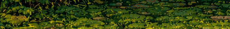 PokeLand Minecraft Server banner