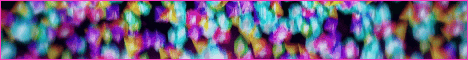 Pokeloot Minecraft Server banner