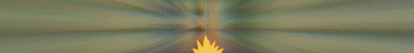 PokeWild Minecraft Server banner