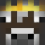 Police And Criminals Minecraft Server Icon