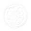 Primrose Minecraft Server Icon