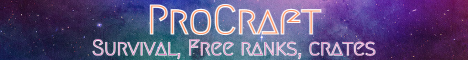 ProCraft Minecraft Server banner