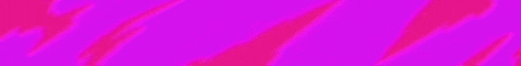 ProyectoX Minecraft Server banner