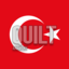 Quilt Anarchy Minecraft Server Icon