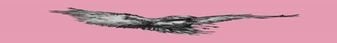 Ravenstale Survival Minecraft Server banner