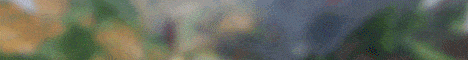 ReallyCraft Minecraft Server banner