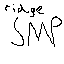 RidgeSMP Minecraft Server Icon