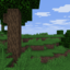 scriptwa survival Minecraft Server Icon