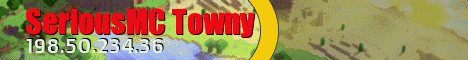 SeriousMC Towny Minecraft Server banner