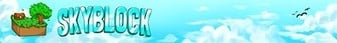 Skyblock Minecraft Server banner