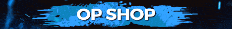 skyblock.in Minecraft Server banner