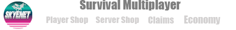 SKYEnet.live Minecraft Server banner