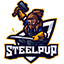 SteelPvP Minecraft Server Icon