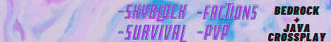 Stonieland Network Minecraft Server banner