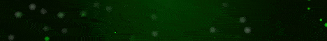 SurvivalState Minecraft Server banner