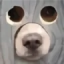 TakoLOL Minecraft Server Icon