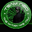 Team-NeO [Friendly] Minecraft Server Icon