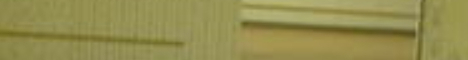 The Backrooms Experiment Minecraft Server banner
