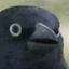 The Gaming Group Minecraft Server Icon