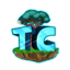TogetherCraft Minecraft Server Icon