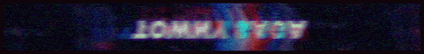 Towny Saga Minecraft Server banner