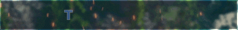 Towny Survival Minecraft Server banner
