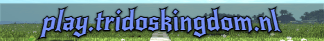 TridosKingdom Minecraft Server banner