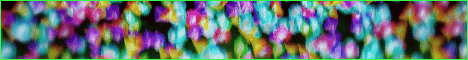 Viciante Minecraft Server banner