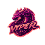 VyperMC Minecraft Server Icon
