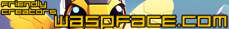 Wasp Face Minecraft Server banner