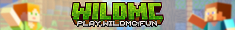 WildMC Minecraft Server banner