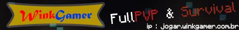 WinkGamer - PVP & Surviva Minecraft Server banner